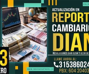 Actualización en Reporte Cambiario ante la DIAN